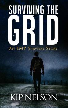 Surviving The Grid (Survival Series Book 1) Read online