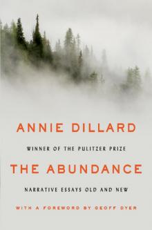 The Abundance: Narrative Essays Old and New Read online