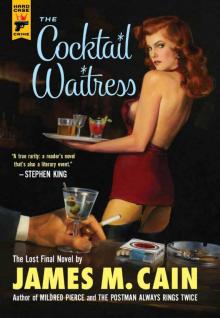 The Cocktail Waitress Read online