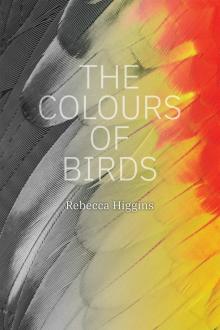 The Colours of Birds Read online