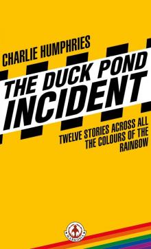 The Duck Pond Incident