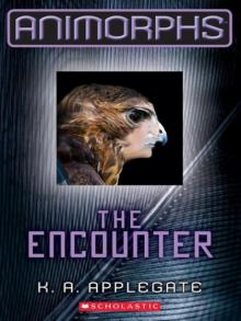 The Encounter Read online
