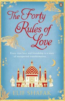 The Forty Rules of Love Read online
