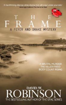 The Frame - from the author of the Sanford Third Age Club (STAC) series (A Feyer and Drake Mystery Book 2) Read online