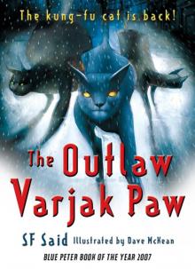 The Outlaw Varjak Paw Read online