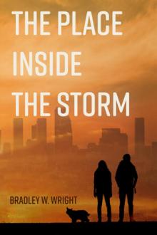 The Place Inside the Storm Read online
