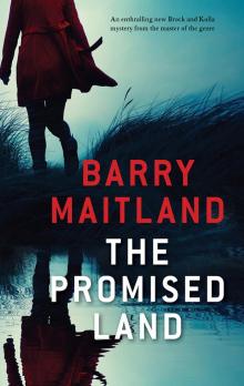 The Promised Land Read online