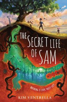 The Secret Life of Sam Read online