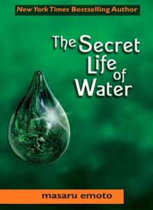 The Secret Life of Water Read online