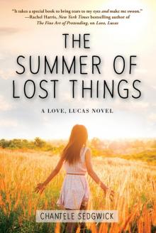 The Summer of Lost Things Read online