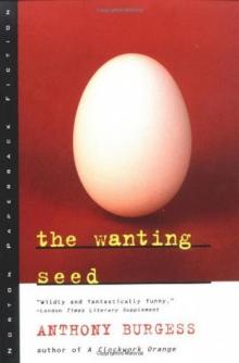 The Wanting Seed Read online