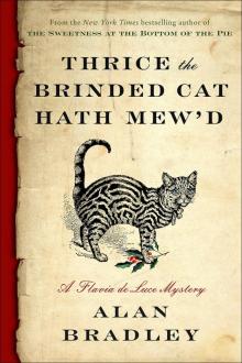 Thrice the Brinded Cat Hath Mew'd Read online