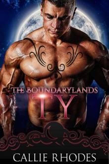 Ty (The Boundarylands Omegaverse Book 2) Read online