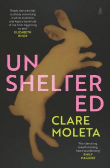 Unsheltered Read online