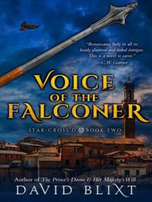 Voice of the Falconer Read online