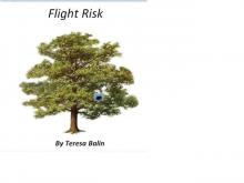 Flight Risk Read online