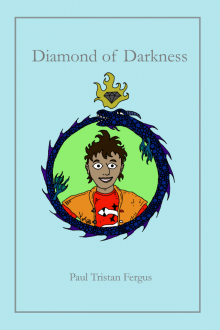 Diamond of Darkness Read online