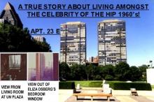 LIVING LIFE AT THE UN PLAZA Read online