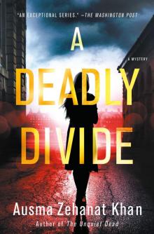 A Deadly Divide Read online