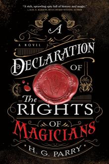 A Declaration of the Rights of Magicians--A Novel Read online