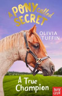 A Pony Called Secret Read online