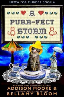 A Purr-fect Storm