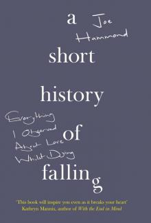 A Short History of Falling Read online