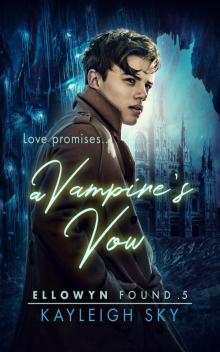 A Vampire’s Vow Read online