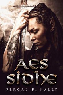 Aes Sidhe Read online