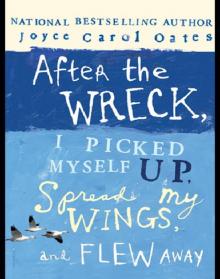 After the Wreck, I Picked Myself Up, Spread My Wings, and Flew Away Read online