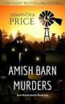 Amish Barn Murders Read online