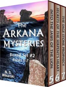 Arkana Archaeology Mystery Box Set 2 Read online