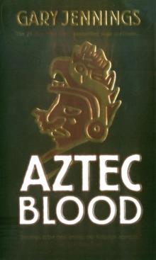 Aztec Blood Read online
