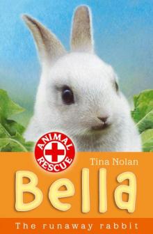 Bella the Runaway Rabbit