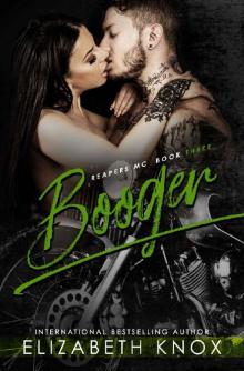 Booger (Reapers MC Book 3) Read online