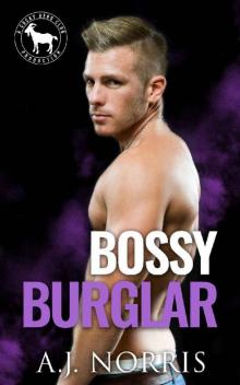 Bossy Burglar: A Hero Club Novel