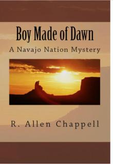 Boy Made of Dawn Read online