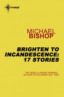 Brighten to Incandescence 17 Stories Read online
