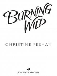 Burning Wild Read online