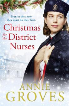 Christmas for the District Nurses Read online