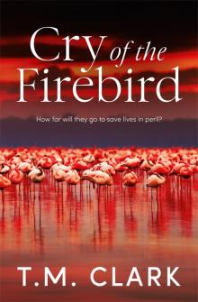 Cry of the Firebird Read online