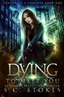 Dying to Meet You Read online