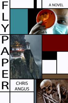 Flypaper: A Novel Read online