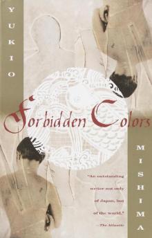 Forbidden Colors Read online