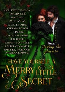Have Yourself a Merry Little Secret : a Christmas collection of historical romance (Have Yourself a Merry Little... Book 2) Read online