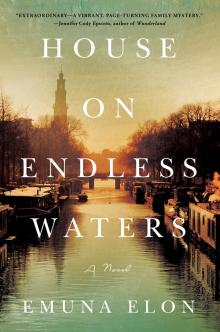 House on Endless Waters Read online