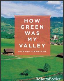How Green Was My Valley Read online