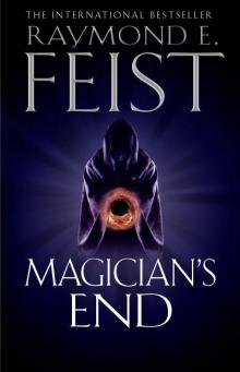 Magician's End Read online