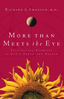 More Than Meets the Eye Read online