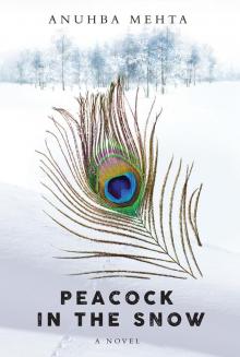 Peacock in the Snow